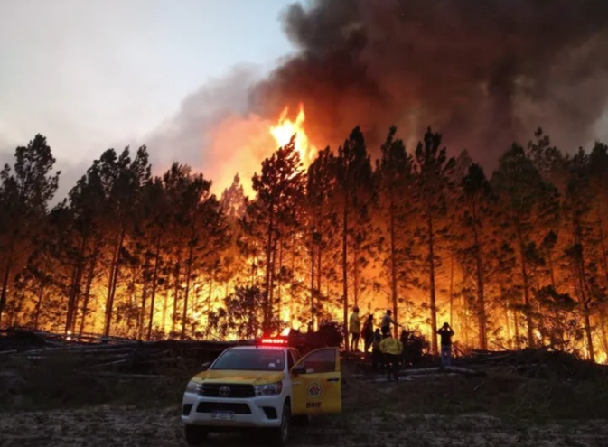 Corrientes en alerta por incendios forestales 