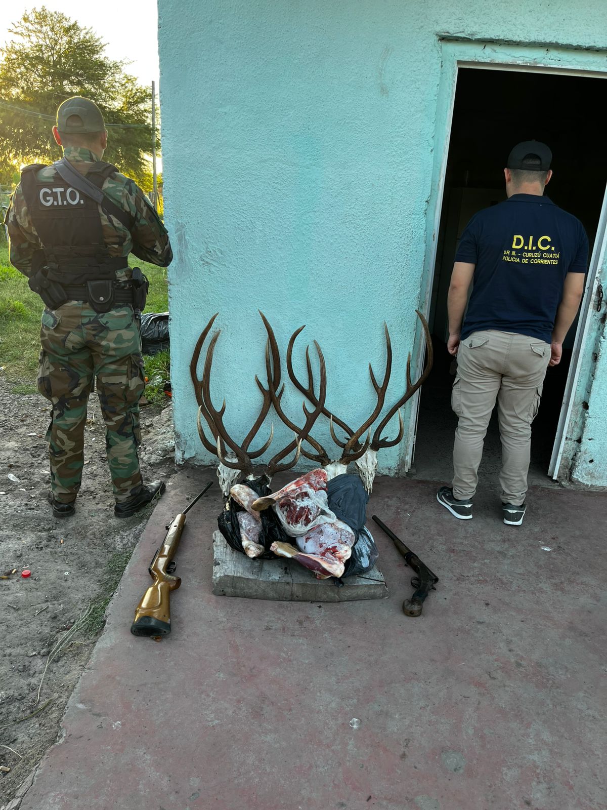 SAUCE: La Policía tras diligenciar dos órdenes de allanamiento, secuestraron armas largas, proyectiles, carne y astas de ciervo