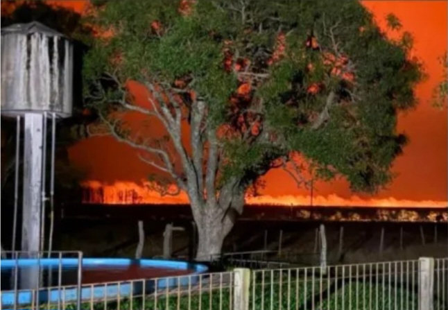 Mariano I.Loza : Una mujer muri&oacute; quemada al intentar apagar un incendio 