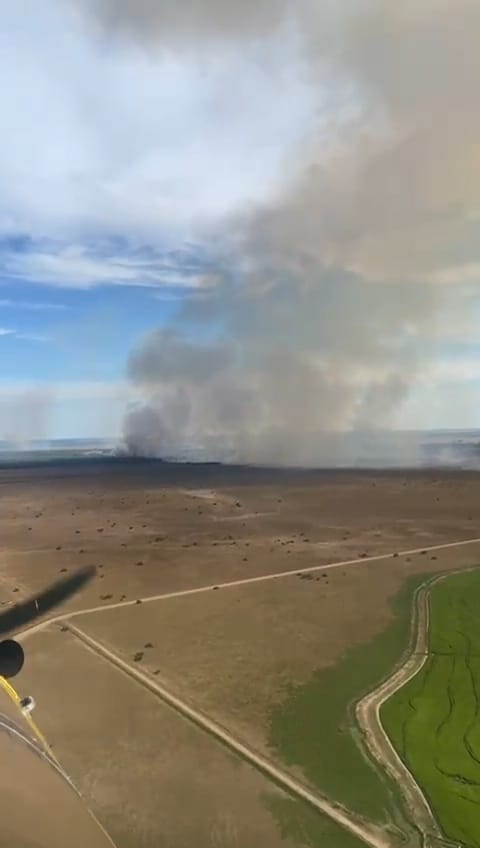 Corrientes combate intensamente dos grandes incendios forestales en la provincia