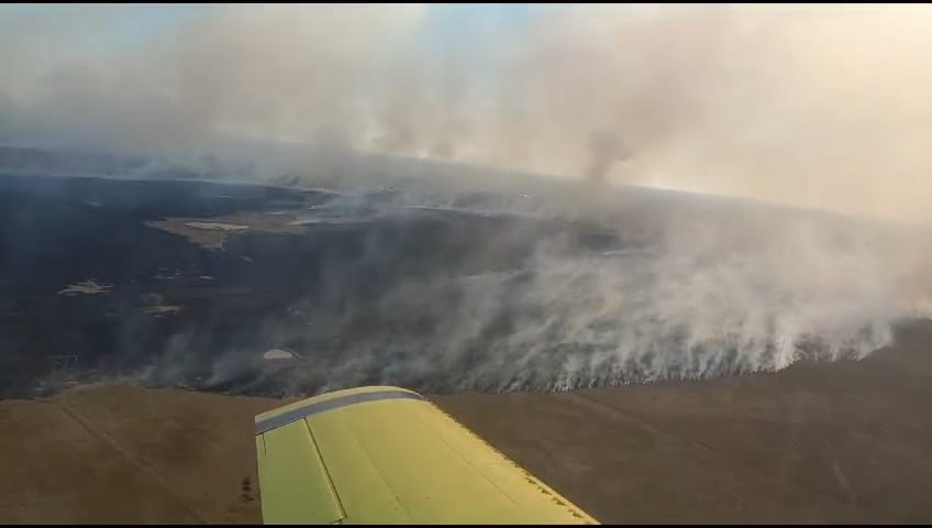 En lo que va del a&ntilde;o ya se perdieron 94.000 hect&aacute;reas por los incendios 