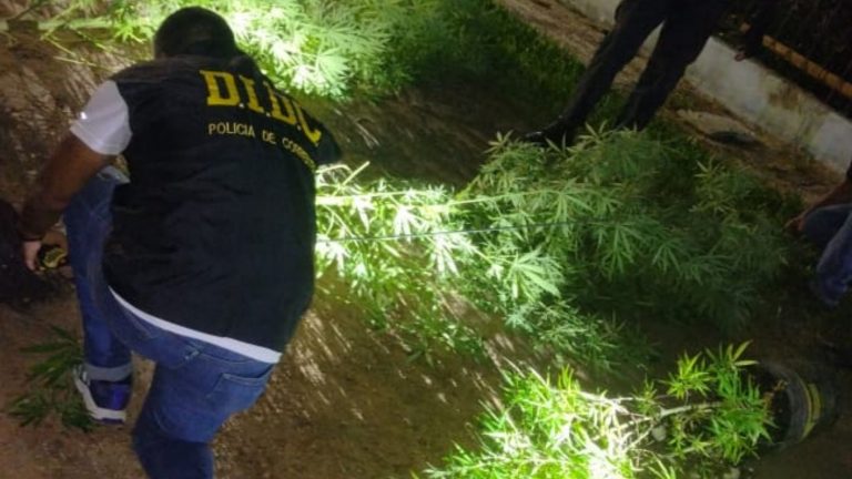 Investigación por robo calificado derivó en allanamientos y secuestro de estupefacientes