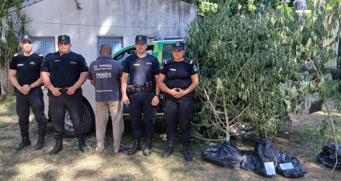 TATACUA: La Polic&iacute;a durante un allanamiento realizado en una vivienda, hallo e incaut&oacute; plantas de marihuana 