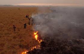 Situaci&oacute;n &iacute;gnea: la Provincia registr&oacute; 12 focos de incendios