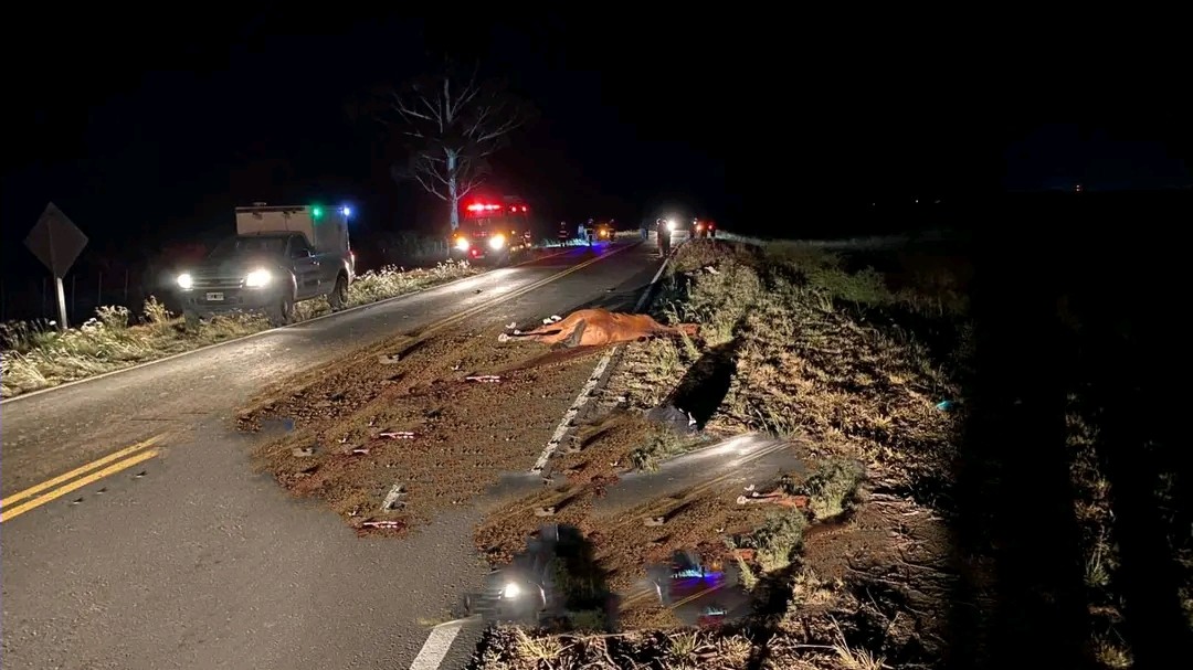 Monte Caseros : Un joven falleci&oacute; al chocar su moto contra un caballo 