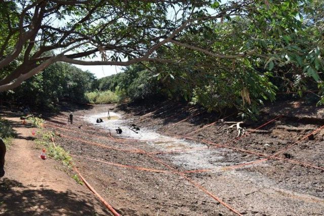 Caso Schaerer : Sin novedades en las excavaciones 