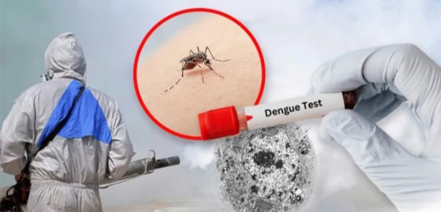 Dengue: se confirm&oacute; que circulan dos variantes en el pa&iacute;s 