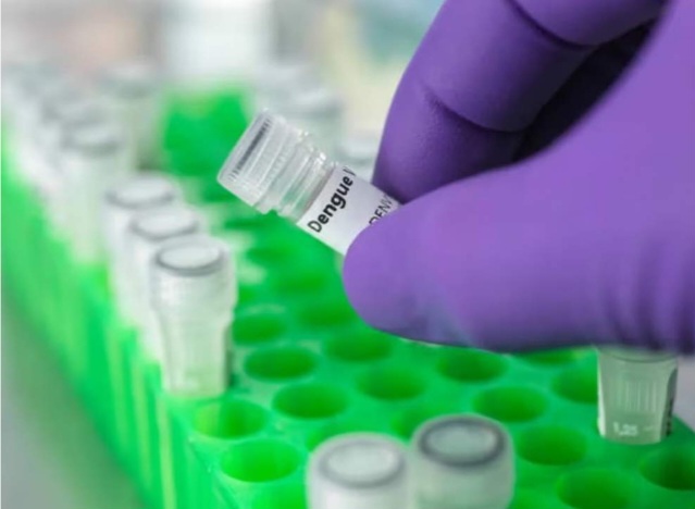 Dengue en Argentina: Se confirmaron 120.000 casos y 79 muertes 