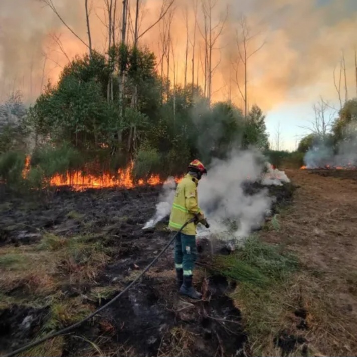 Incendio en la estaci&oacute;n ecol&oacute;gica de Corrientes deja 200 hect&aacute;reas quemadas 