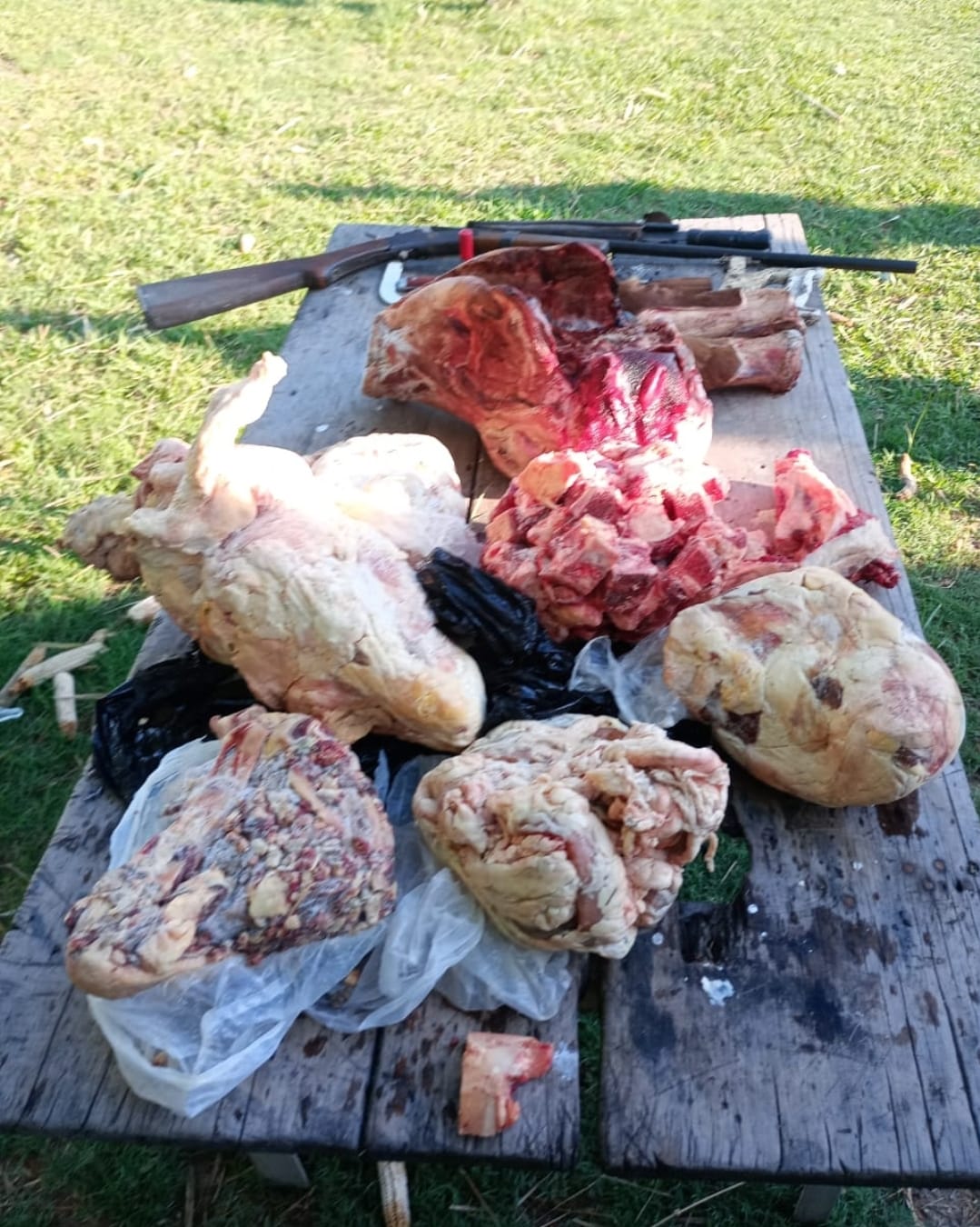 Saladas:Tras varias &oacute;rdenes de allanamiento la Polic&iacute;a secuestr&oacute; varios cortes de carne y un arma de fuego