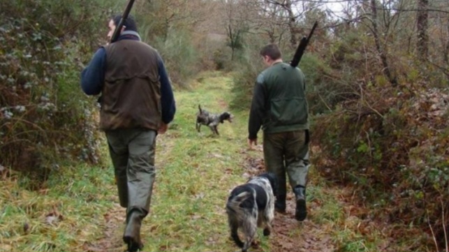 Confirmaron condena a dos hombres por delitos contra la fauna y portaci&oacute;n ilegal de armas