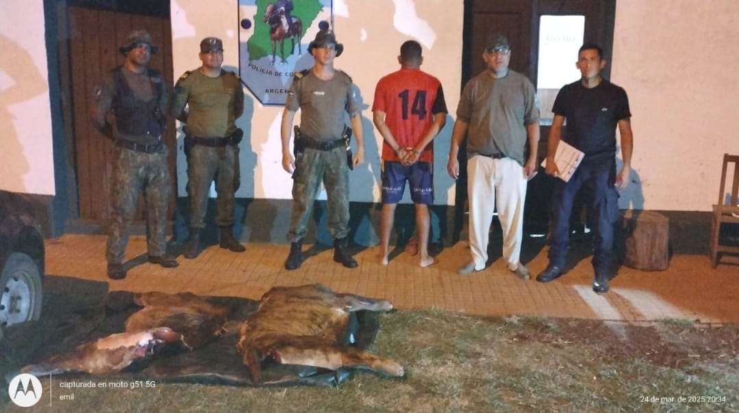 Santo Tome : La polic&iacute;a detuvo a un hombre, secuestro un auto y una vaca faenada clandestinamente 