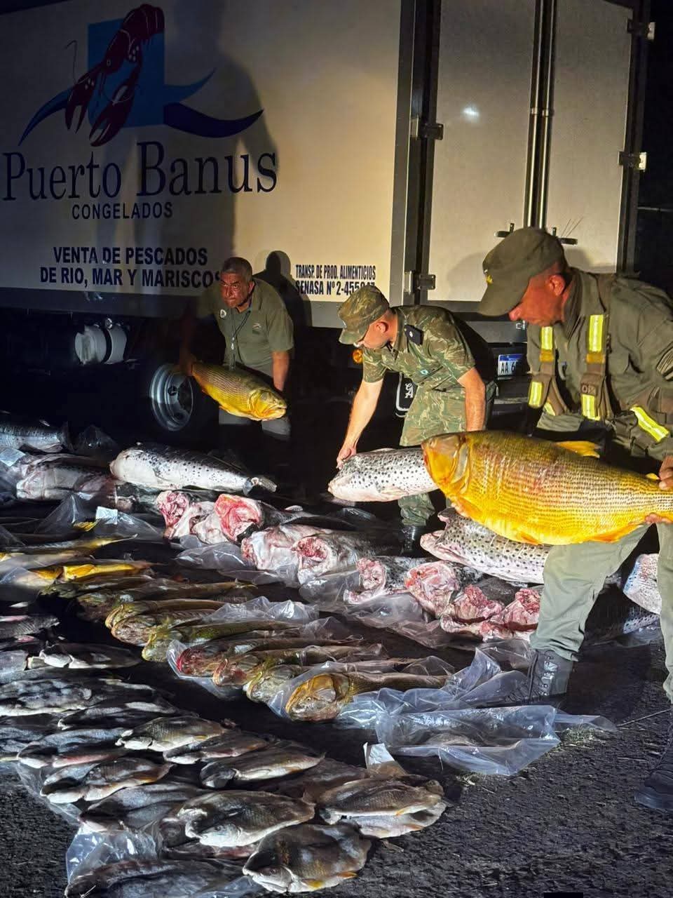 Ituzaing&oacute;: Cami&oacute;n con pescado ilegal fue detenido por gendarmer&iacute;a 