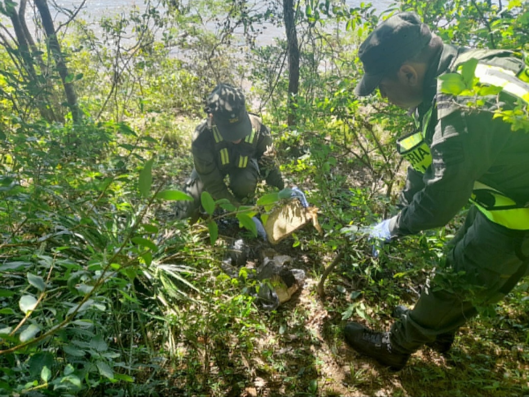 Ituzaing&oacute;: Gendarmer&iacute;a secuestr&oacute; 20 kilos de marihuana 
