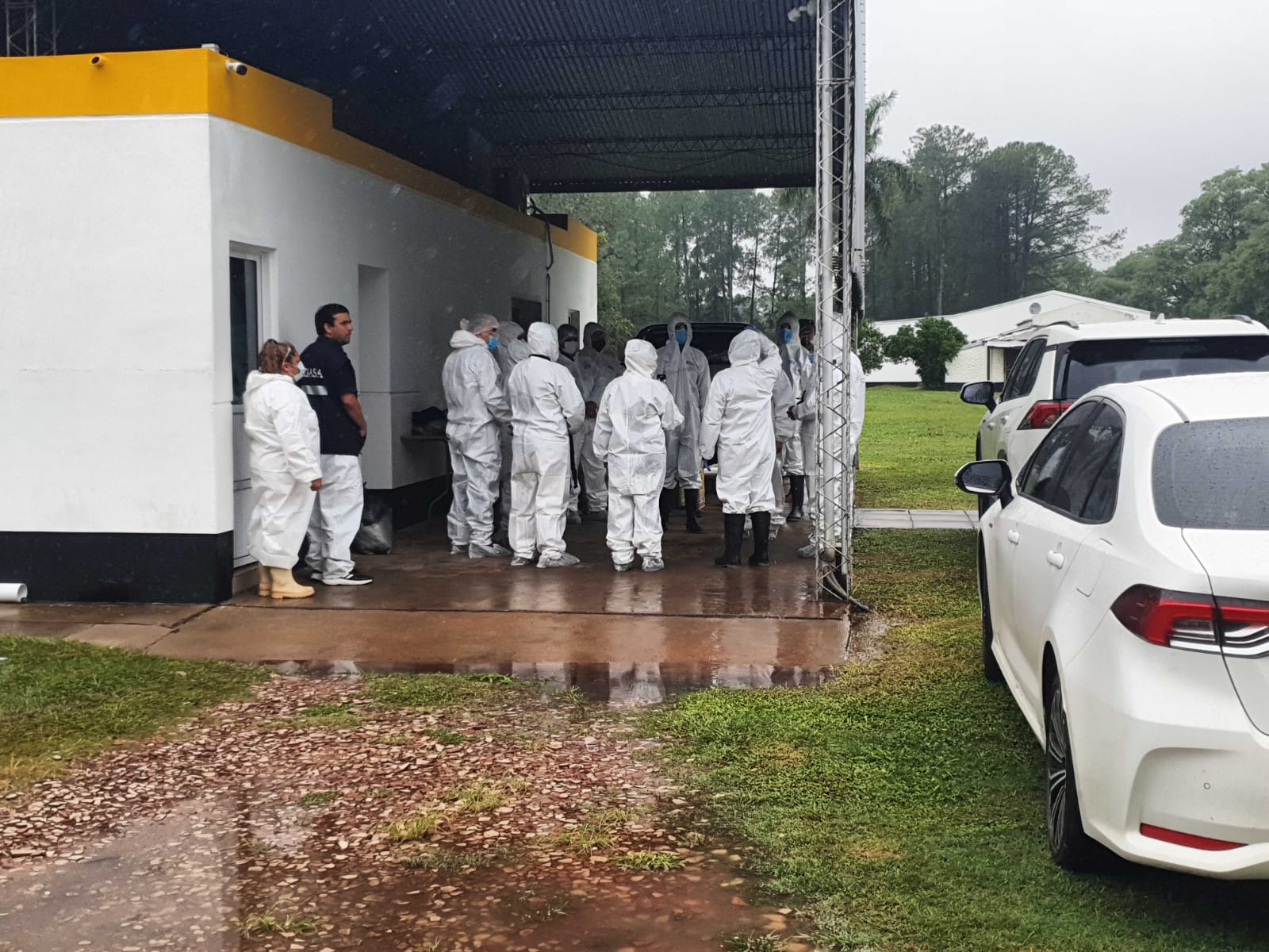 Av&iacute;cola Santa Ana: Las muestras tomadas ayer dieron negativo 
