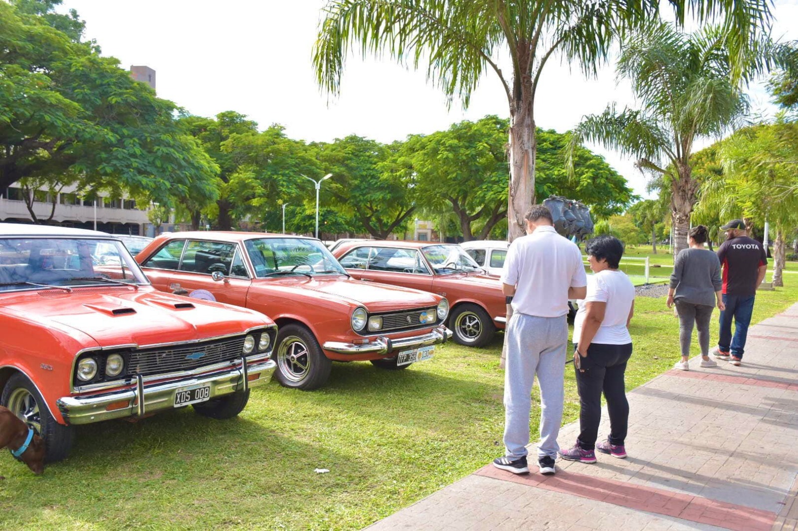 Unos 60 autos cl&aacute;sicos se  expondr&aacute;n en el Camb&aacute; Cu&aacute; durante el finde semana 