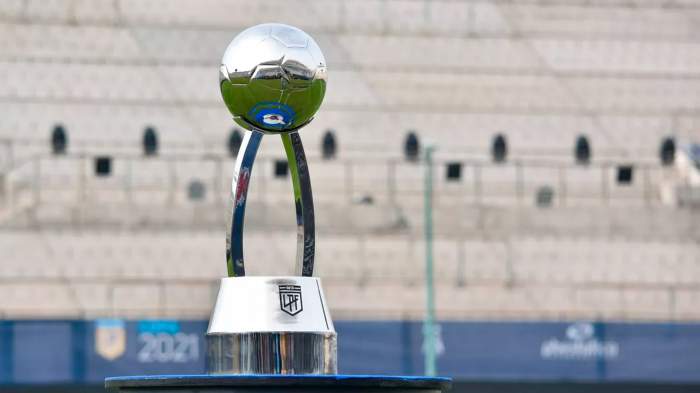 Se juegan los partidos finales de la copa de la liga Argentina 