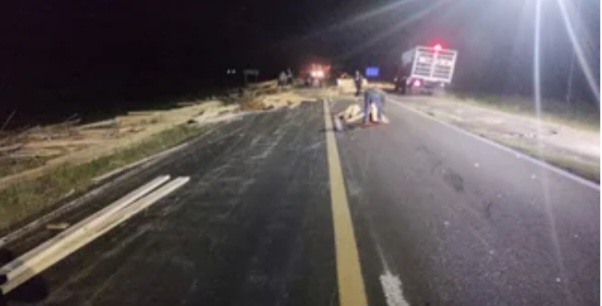 Ruta nacional 12: Evit&oacute; atropellar a un carpincho y termino volcando 