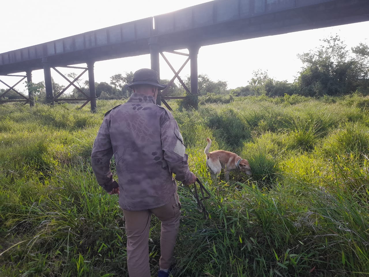 ALVEAR : La Polic&iacute;a contin&uacute;a con la b&uacute;squeda de un hombre desaparecido hace d&iacute;as en la localidad 