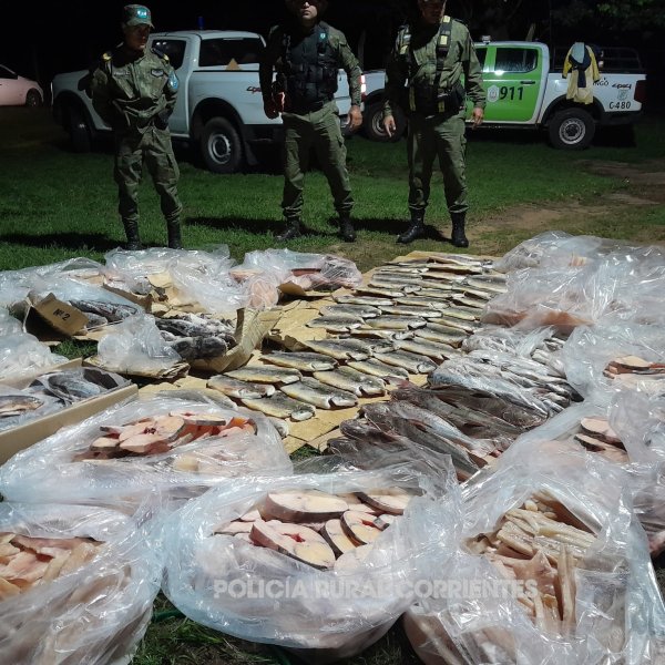 ITUZAING&Oacute;: La Polic&iacute;a, secuestr&oacute; importante cargamento de pescado transportado ilegalmente