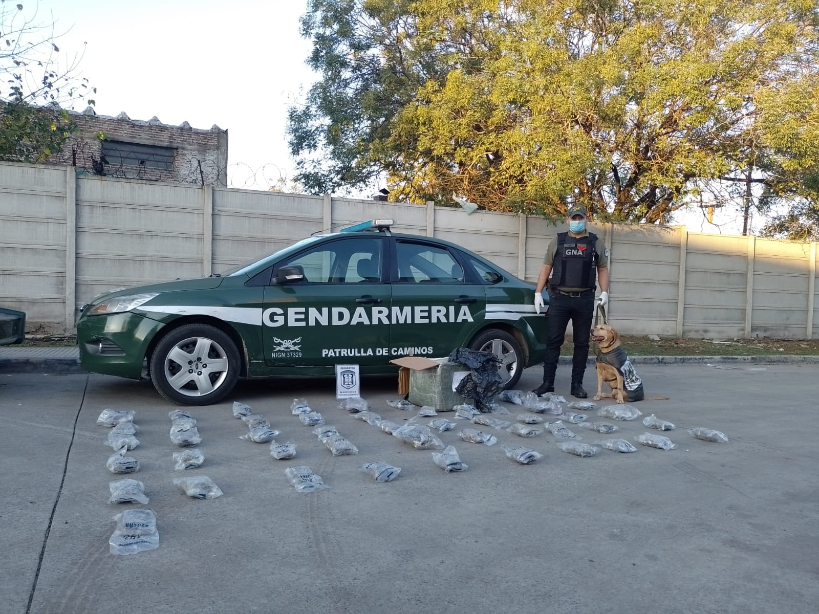 Detienen a una mujer que recib&iacute;a estupefacientes mediante encomiendas