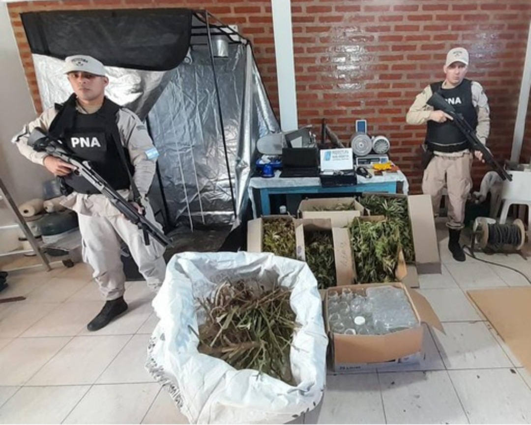 Triple allanamiento en R&iacute;o Negro por tr&aacute;fico de drogas: Hay tres detenidos
