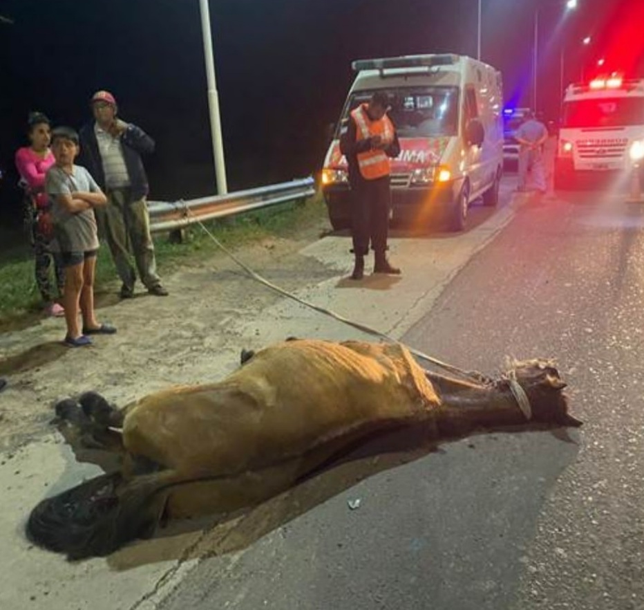 Goya : Un menor de 10 a&ntilde;os fue atropellado cuando iba a caballo 