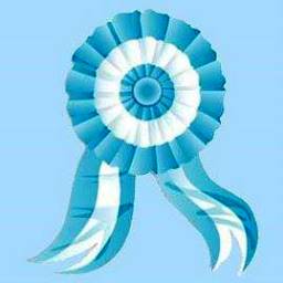 Hoy se conmemora el dia de la escarapela: &iquest; Conoce porque se festeja hoy?
