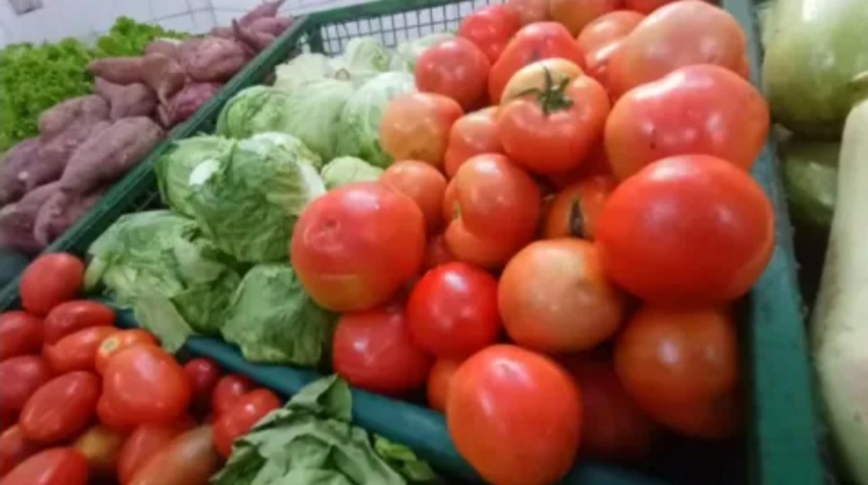 Tomate por las nubes : El kilo se consigue entre $700 y $900