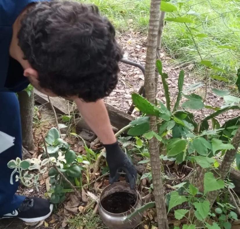 Advierten que el Aedes Aegypti a&uacute;n puede continuar en las casas