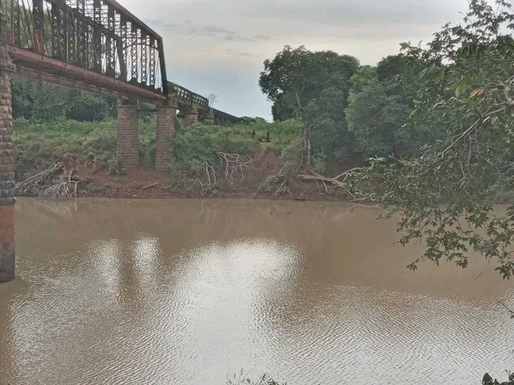 Alvear : Encontraron restos oseos en el Río Aguapey