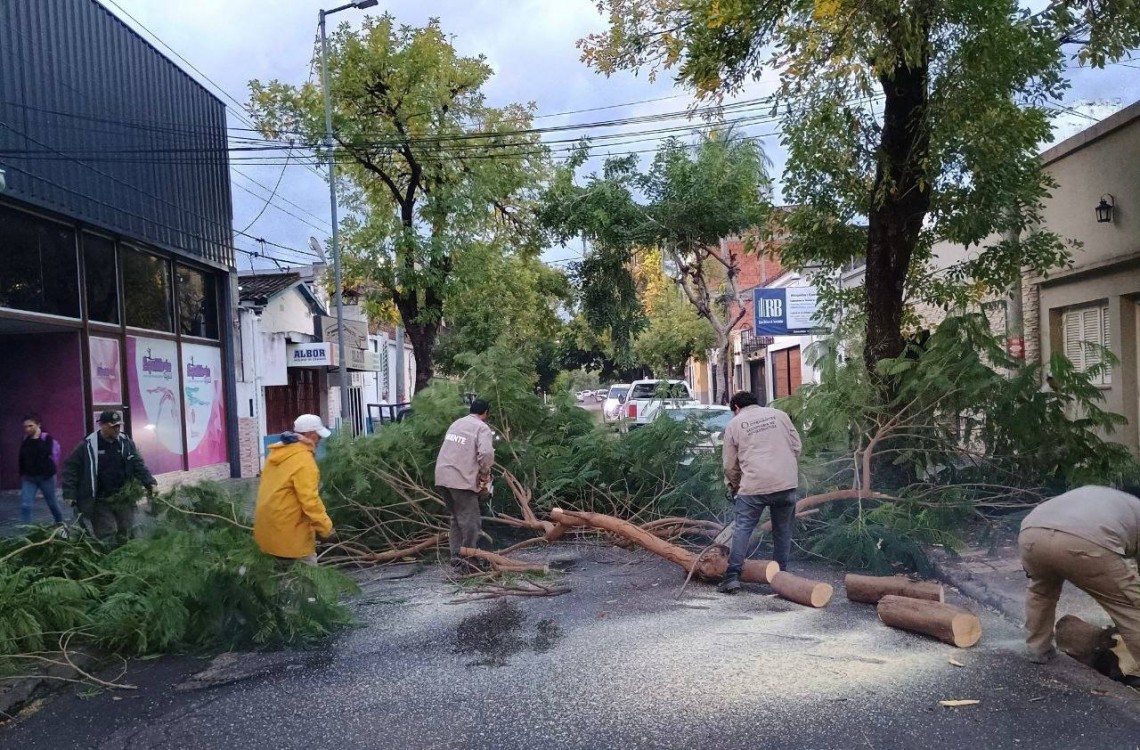 Amplio operativo de la Municipalidad ante los fuertes vientos y lluvias en la ciudad