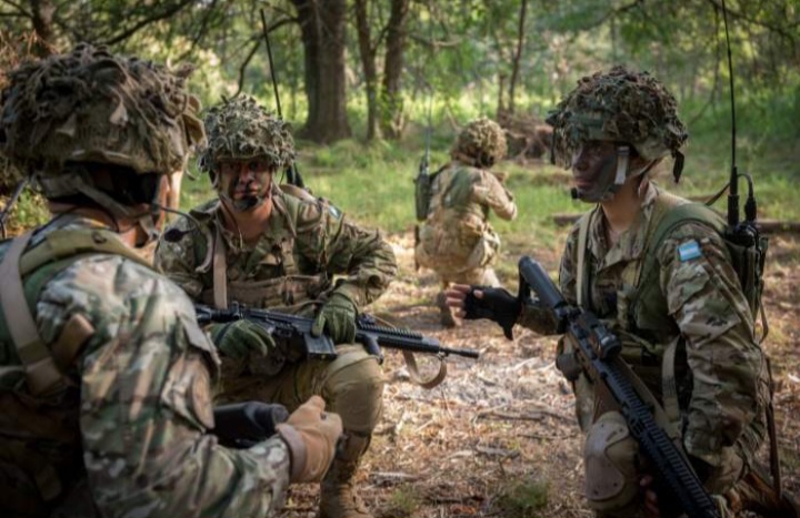 Se implementa el servicio militar voluntario 