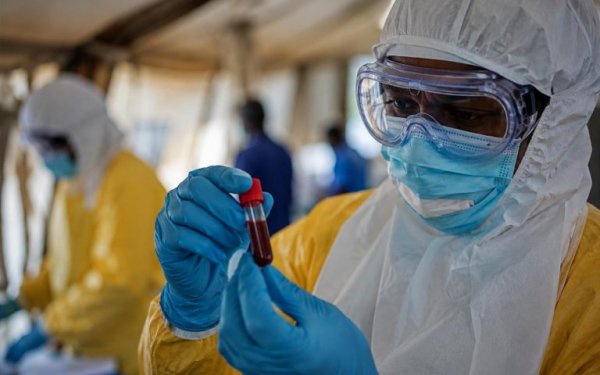 La OMS declar&oacute; la emergencia sanitaria internacional por el avance del &eacute;bola en &Aacute;frica