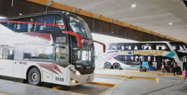 El Gobierno elimin&oacute; las compensaciones a empresas de micros de larga distancia por pasajes gratuitos a personas con discapacidad