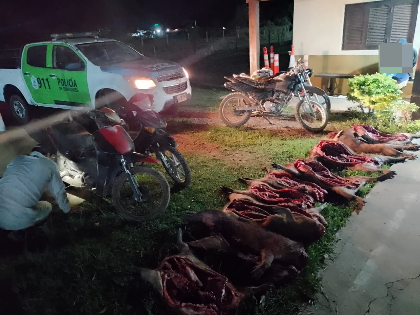 Yahape : Cuatro personas fueron detenidos, secuestraron motocicletas y animales faenados 