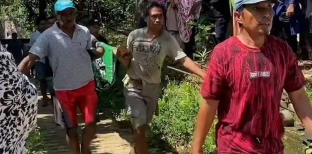 Indonesia : Una mujer de 45 a&ntilde;os fue comida por una pit&oacute;n 
