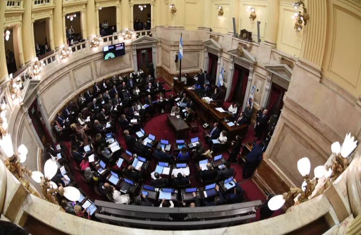 El Gobierno logr&oacute; la aprobaci&oacute;n en general de la Ley Bases en el Senado