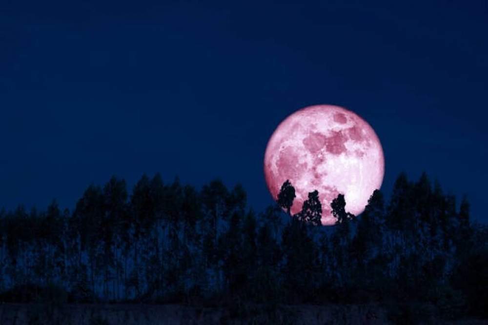 Luna de fresa en junio : &iquest; Cuando la veremos en Argentina?