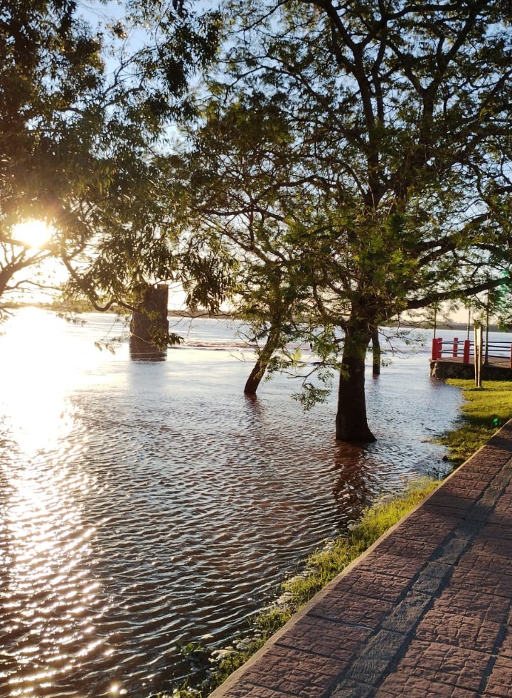 El r&iacute;o Uruguay llega a 7,99 metros y contin&uacute;a creciendo