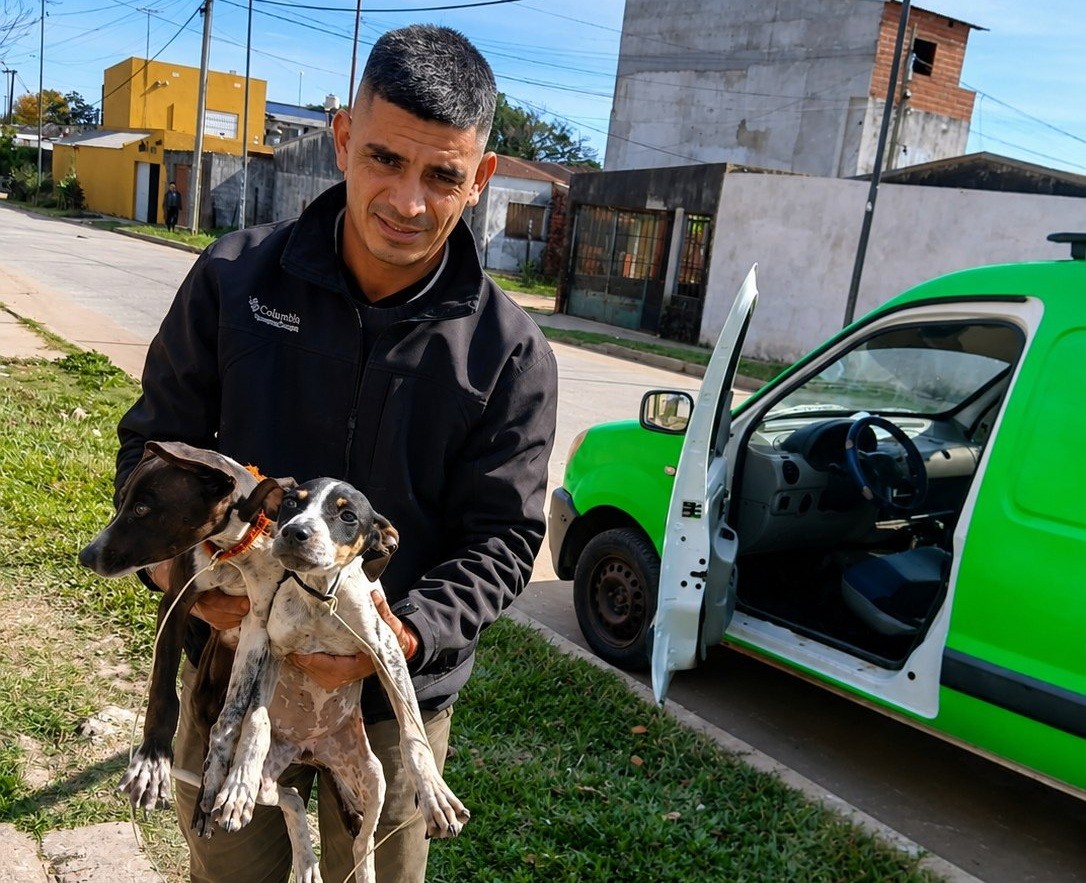 El Municipio rescat&oacute; dos cachorros desnutridos tras una denuncia en el barrio Jard&iacute;n