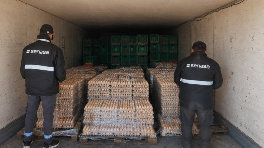 Senasa destruy&oacute; 4800 docenas de huevos decomizados 