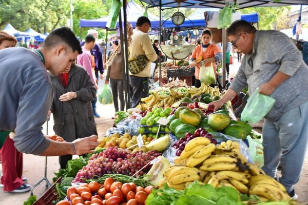 La Municipalidad acerca productos frescos y de calidad a plazas y espacios p&uacute;blicos
