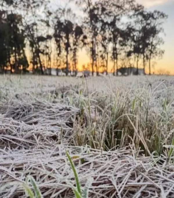 Primeras heladas en el interior provincial 