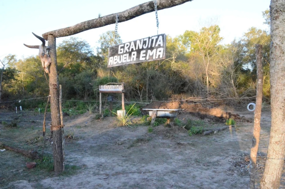 Caso Cecilia Strzyzowski: antrop&oacute;logos buscar&aacute;n ADN en los restos &oacute;seos encontrados en el r&iacute;o
