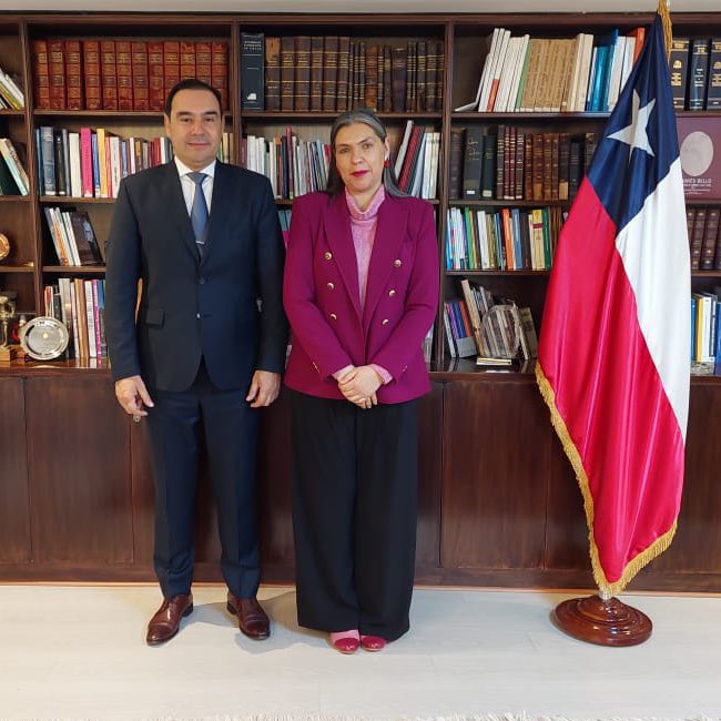 Vald&eacute;s se reuni&oacute; con la embajadora de Chile en Argentina