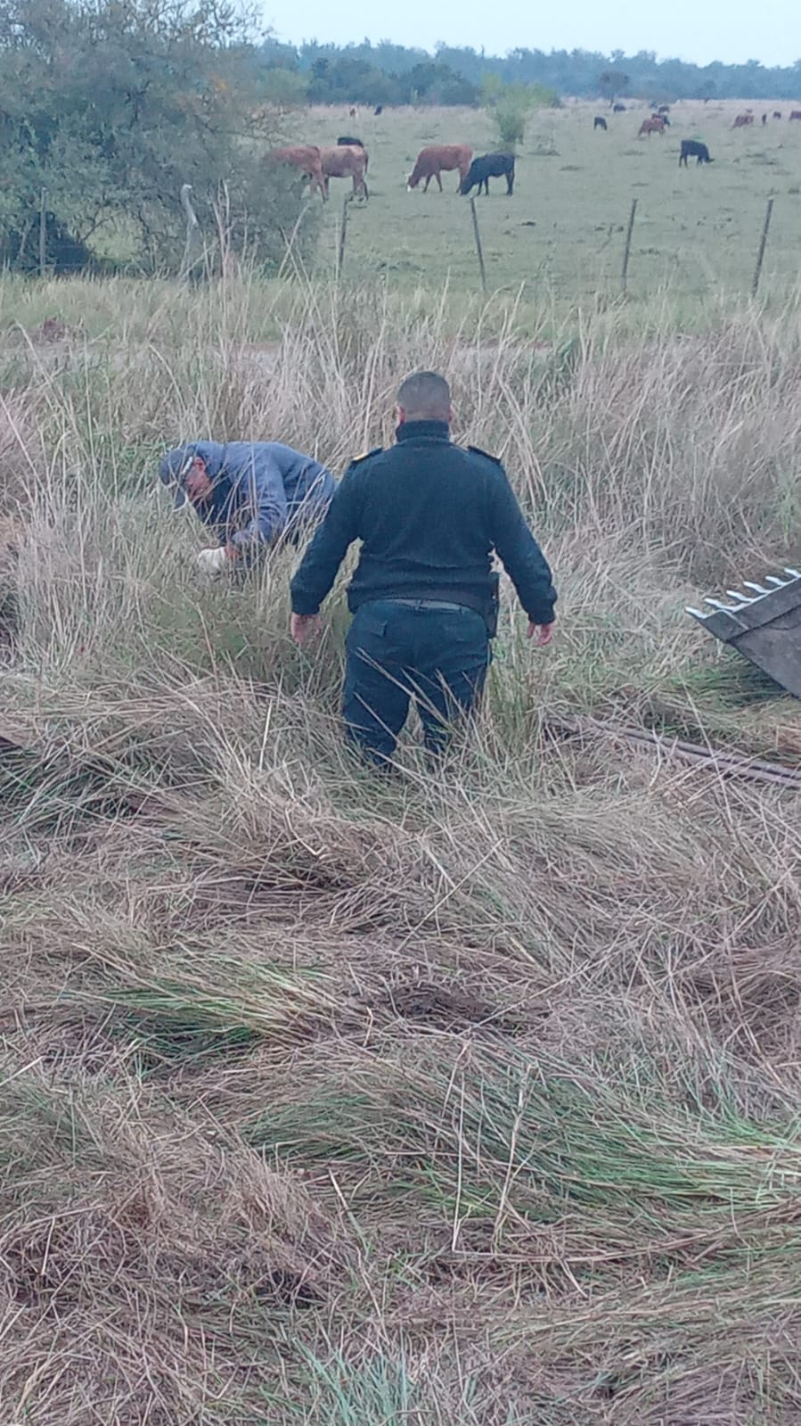 RIACHUELO :  La Polic&iacute;a evit&oacute; la sustracci&oacute;n de rieles de v&iacute;as del tren
