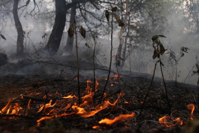 Preocupaci&oacute;n por focos de incendios debido a la falta de lluvias en Corrientes 