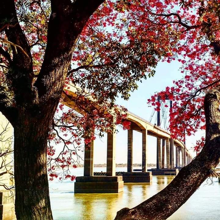 Corrientes: Se esperan temperaturas de 35&deg; para esta semana 