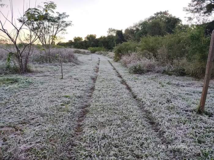 Monte Caseros:Se registraron heladas en zonas rurales 